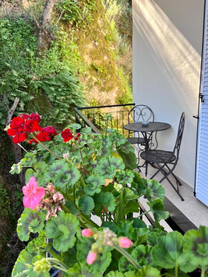 Helena'S Apartment In Corfu Town Exterior photo